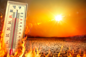 working in the heat